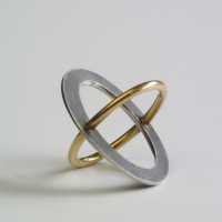 oval ring gold silver
